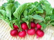Trồng củ cải đỏ với những chiếc chậu nhỏ đáng yêu