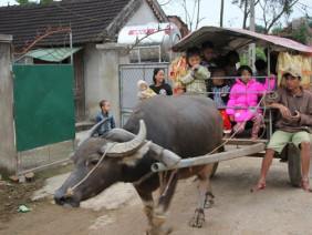 Người đàn ông tàn tật và chiếc xe trâu đưa đón trẻ mầm non miễn phí