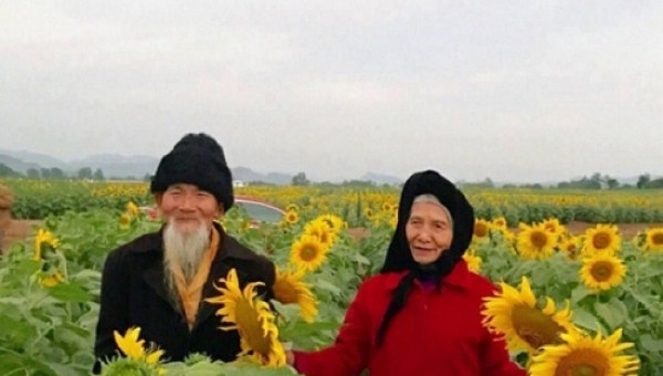 Chuyện tình ông - bà yêu nhau thời chưa có ti vi, 72 năm sau vẫn tình tứ giữa vườn hướng dương