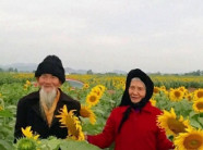 Chuyện tình ông - bà yêu nhau thời chưa có ti vi, 72 năm sau vẫn tình tứ giữa vườn hướng dương