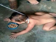 Phẫn nộ hình ảnh mẹ xích cổ cho con bò và ăn như động vật