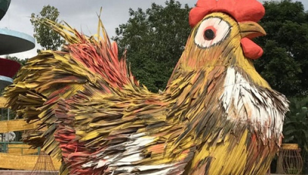 Cận cảnh "gà như chim sâu" trong gói 3 tỷ đồng ở Quảng Ngãi