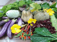 Vườn rau sạch đón Tết của bà mẹ Sài thành khiến chị em thèm thuồng