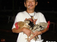 Gà chín cựa 100 triệu và giấc mơ thành vua khi ăn "lễ vật của vua Hùng"