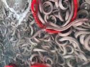 Nghề câu lươn biển: Mới mẻ và mạo hiểm