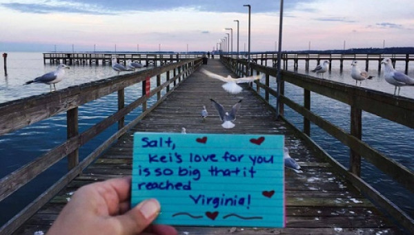 Cô gái Thái Bình "đi khắp thế giới" trong 1 tháng để tỏ tình với bạn trai