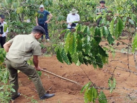 Lời khai nghi phạm giết chồng người tình rồi chôn xác phi tang