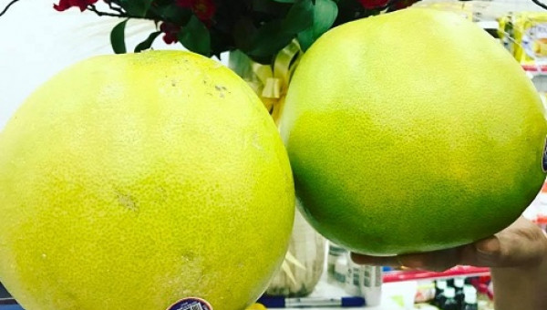 Bưởi Mỹ "đi máy bay" về Việt Nam giá hơn nửa triệu
