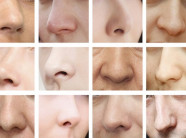 Nghiên cứu mới: Hình dáng mũi của mỗi người là do thời tiết "nhào nặn"