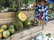 Mít Thái "siêu sớm", giá cao gấp 10 lần mít thường có gì lạ?