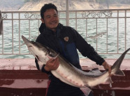 Nuôi con tiền tỷ: Làm giàu từ loài cá đẻ trứng giá hàng ngàn USD/kg