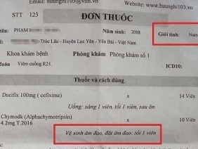 Dân mạng 