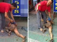 Đánh ghen chấn động miền Tây: Trói chân tình địch, kéo lê trên đường