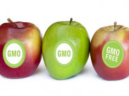 Táo và khoai tây biến đổi gen đã được chấp nhận thương mại hóa