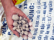 Phân bón giả: Nông nghiệp kiệt quệ, chính quyền 'đá bóng' trách nhiệm