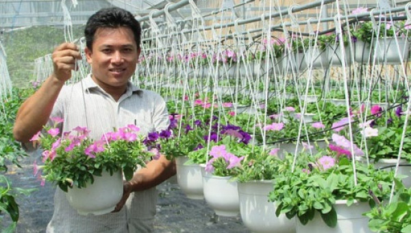 Thôi việc công ty ngoại, về trồng hoa giỏ, bỏ túi chục triệu/tháng
