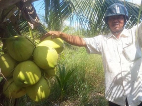 Làm giàu ở nông thôn: Làm đa canh nhanh có tiền