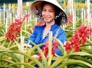 "Người đẹp quý bà" hơn 10 năm làm nên "Vườn lan huyền thoại"