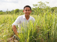 "Trai đẹp" bỏ về quê cùng chị em nấu dầu sả trên vùng đất lửa