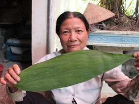 Lạ mà hay: Chỉ 