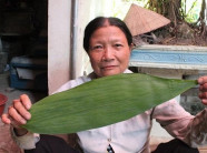 Lạ mà hay: Chỉ "nhặt" lá tre thôi, tôi cũng có tiền tỷ