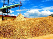 Trung Quốc lại "giở trò" ngừng thu mua dăm gỗ để ép giá?