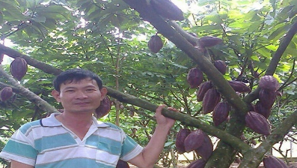 Nông dân đổi đời nhờ mô hình làm ăn tập thể