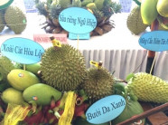 Chỉ 10% trái cây vào được siêu thị, siêu thị “chê” trái cây Việt?