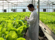 Vấn đề quan tâm: Sẽ có 2 chuẩn chứng nhận cho nông nghiệp hữu cơ