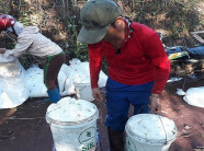 Chuyện “dở khóc dở cười" khi trồng cao su ở Sơn La