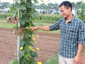 Du học Châu Âu về làm rau sạch, hai chàng trai quê quan họ thu tiền tỷ/năm