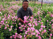 Nông dân đầu tiên của Đà Lạt xây dựng "khách sạn hoa"