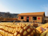 Độc đáo ngôi nhà 48m2 đẹp như dát vàng, được xây từ 20 ngàn bắp ngô