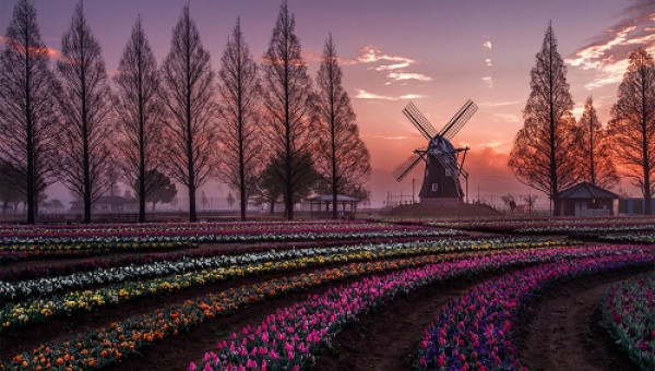 Tự hào nông dân Việt 2018: Chiêm ngưỡng trang trại triệu đô, ngắm hoa anh đào tại Nhật Bản