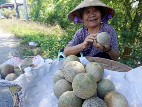 Tên nghe hết hồn, vỏ xâu xấu, bổ ra ngã ngửa nhưng ăn cực thơm ngon