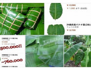 Lá chuối ở Việt Nam vứt bỏ không tiếc, Nhật lại thành "hàng đắt đỏ"