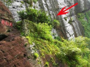 Loại trà đắt nhất thế giới, mỗi kg có giá tương đương một... tòa biệt thự