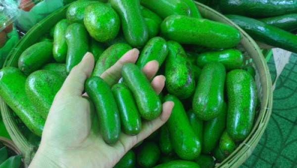 "Siêu phẩm" bơ móng tay không hạt khiến người tiêu dùng "há hốc"