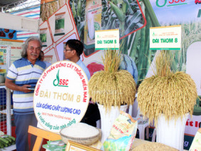 Festival lúa gạo lần 3: Cơ hội định vị giá trị hạt gạo Việt Nam