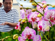 "Ông trùm" trồng lan hồ điệp công nghệ cao đút túi cả chục tỷ/năm