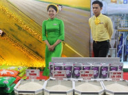 Khai mạc Festival lúa gạo và công bố logo thương hiệu gạo Việt