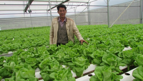 Agribank "hiến kế" tiếp sức nông sản Việt vươn ra thế giới