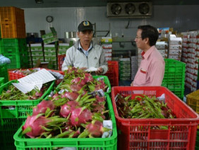 Xuất khẩu trái cây sang Mỹ phải vượt qua 5 tiêu chuẩn này