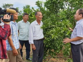 Biến đất đồi Trung Bộ thành “mỏ vàng” với chanh leo, cây dược liệu