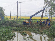 Chuyện lạ TT-Huế: Vớt bèo Tây ở sông Như Ý làm thứ giấy Trúc chỉ