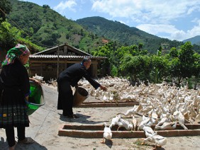 Tạo sinh kế và đổi thay cuộc sống đồng bào dân tộc 