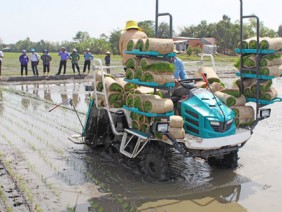 Đề xuất miễn thuế đất nông nghiệp: Đầu tư thoả đáng cho tam nông