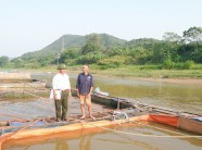 Tiết lộ tuyệt chiêu 'làm ao trên sông' giúp cá lớn nhanh như thổi