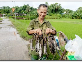 Lão nông kỳ tài có tuyệt kỹ bắt chuột nổi tiếng đất Tuyên Quang