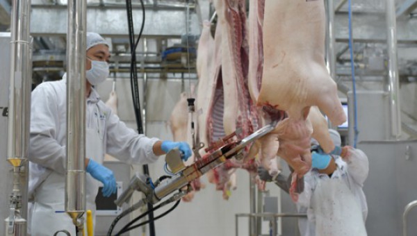 Chiều nay: Tọa đàm trực tuyến đảm bảo cung- cầu thịt lợn dịp Tết